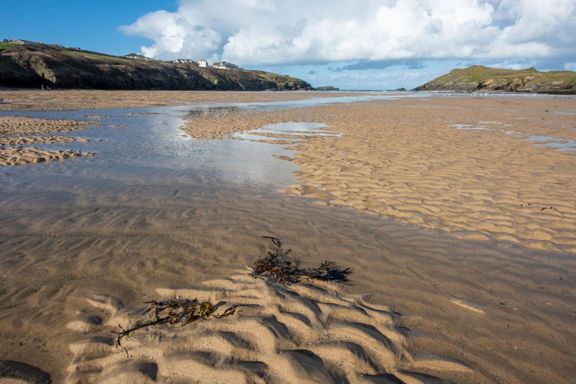 3, Oasis Sands * Newquay (Cornwall)